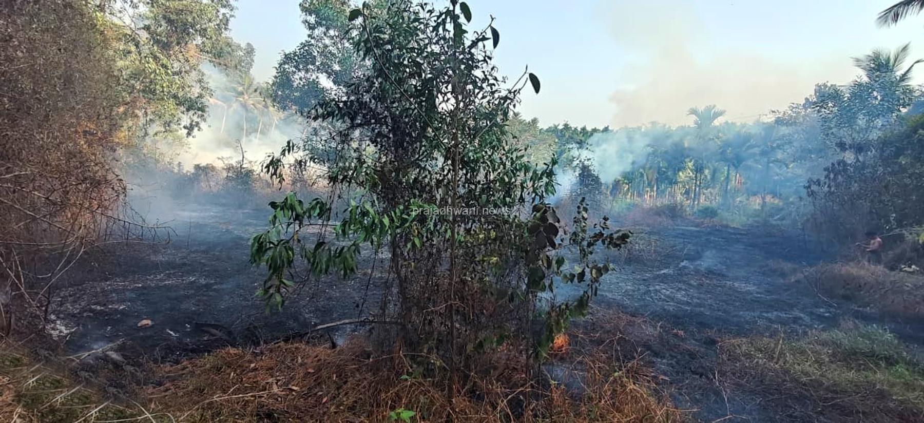 ಚಿಕ್ಕ ಮುಡ್ನೂರು  ಏಕ ಬಳಕ್ಕ ಪರಿಸರದಲ್ಲಿ  ಶಾರ್ಟ್ ಸರ್ಕ್ಯೂಟ್  ಆಗಿ ಬೆಂಕಿ ಅವಘಡ.