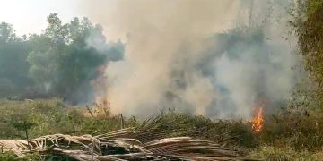 ಏಕ ಬಳಕ್ಕ ಪರಿಸರದಲ್ಲಿ ತೋಟ ಮತ್ತು ಗದ್ದೆ ಗೆ ಬೆಂಕಿ