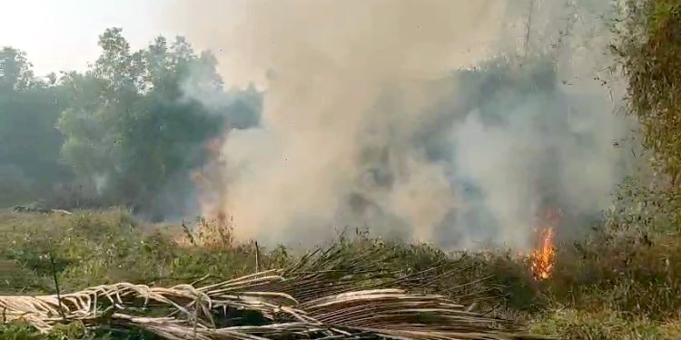 ಚಿಕ್ಕಮುಡ್ನೂರು ಏಕ ಬಳಕ್ಕ ಪರಿಸರದಲ್ಲಿ ಶಾರ್ಟ್ ಸರ್ಕ್ಯೂಟ್ ಆಗಿ ಬೆಂಕಿ ಅವಘಡ