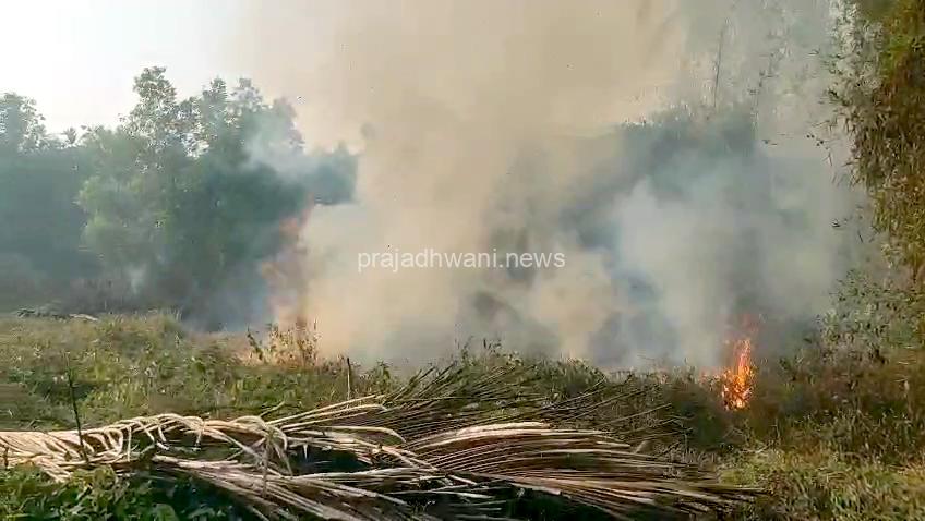 ಏಕ ಬಳಕ್ಕ ಪರಿಸರದಲ್ಲಿ ತೋಟ ಮತ್ತು ಗದ್ದೆ ಗೆ ಬೆಂಕಿ