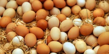 ಮಧ್ಯಪ್ರಾಚ್ಯ ರಾಷ್ಟ್ರಗಳ ನಡುವಿನ ಯುದ್ಧದಿಂದಾಗಿ ದೇಶೀಯ ಮಾರುಕಟ್ಟೆಯಲ್ಲಿ ಮೊಟ್ಟೆ ದರ ದಿಢೀರ್‌ ಕುಸಿತ