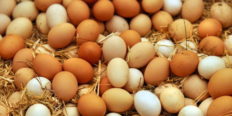 ಮಧ್ಯಪ್ರಾಚ್ಯ ರಾಷ್ಟ್ರಗಳ ನಡುವಿನ ಯುದ್ಧದಿಂದಾಗಿ ದೇಶೀಯ ಮಾರುಕಟ್ಟೆಯಲ್ಲಿ ಮೊಟ್ಟೆ ದರ ದಿಢೀರ್‌ ಕುಸಿತ