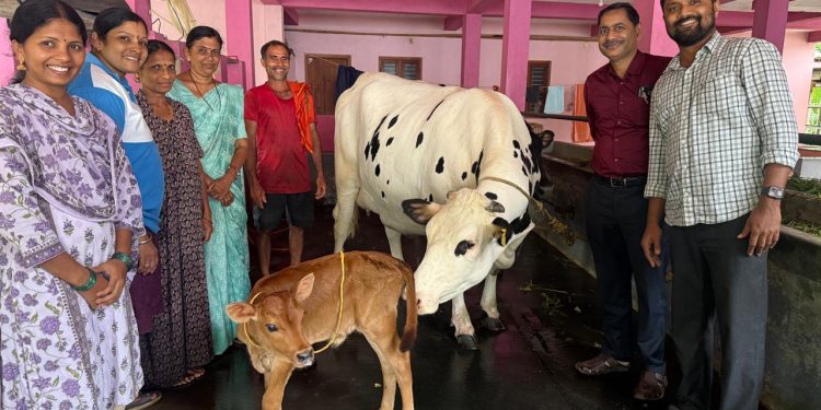 ಬಂದಾರು ಹಾಲು ಉತ್ಪಾದಕರ ಮಹಿಳಾ ಸಹಕಾರಿ ಸಂಘದ ವ್ಯಾಪ್ತಿಯಲ್ಲಿ ಮೊದಲ ರಾಸುವಿನ ಭ್ರೂಣ ವರ್ಗಾವಣೆ ಕರುವಿನ ಜನನ – ಪ್ರಥಮ ಪ್ರಯೋಗ ಯಶಸ್ವಿ