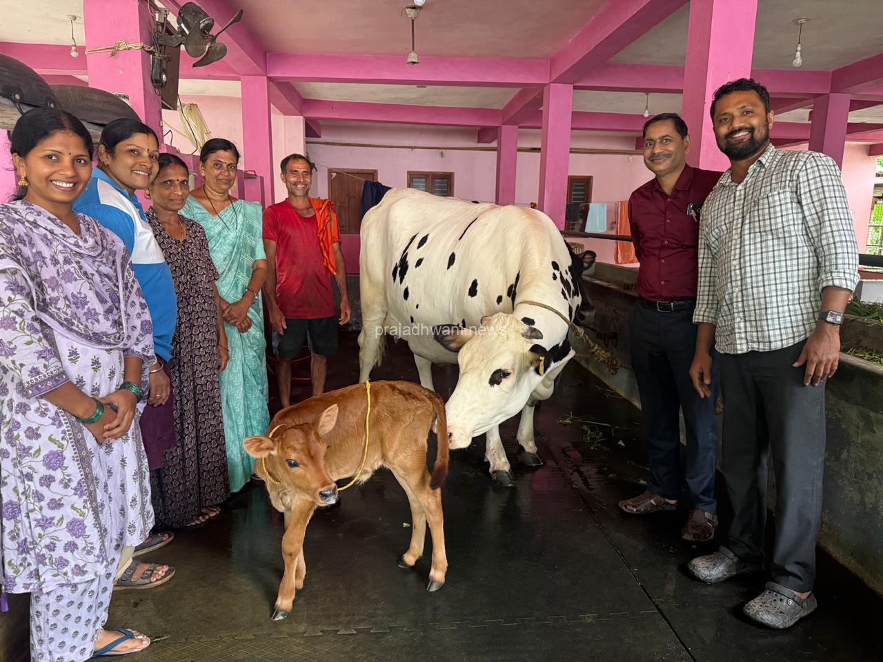 ಬಂದಾರು ಹಾಲು ಉತ್ಪಾದಕರ ಮಹಿಳಾ ಸಹಕಾರಿ ಸಂಘದ ವ್ಯಾಪ್ತಿಯಲ್ಲಿ ಮೊದಲ ರಾಸುವಿನ ಭ್ರೂಣ ವರ್ಗಾವಣೆ ಕರುವಿನ ಜನನ – ಪ್ರಥಮ ಪ್ರಯೋಗ ಯಶಸ್ವಿ