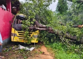 ಶಾಲಾ ಬಸ್ ಮೇಲೆ ಮರ ಬಿದ್ದು : ಬಾಲಕಿ ಮೃತ್ಯು, ಹಲವರಿಗೆ ಗಾಯ