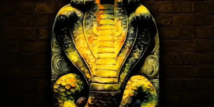ನಾಗರ ಪಂಚಮಿ ಪ್ರಯುಕ್ತ ಆಗಸ್ಟ್ 17ರಂದು ದಕ್ಷಿಣ ಜಿಲ್ಲೆಗೆ ಸಾರ್ವತ್ರಿಕ ರಜೆ: ಡಿ ಸಿ ಘೋಷಣೆ.