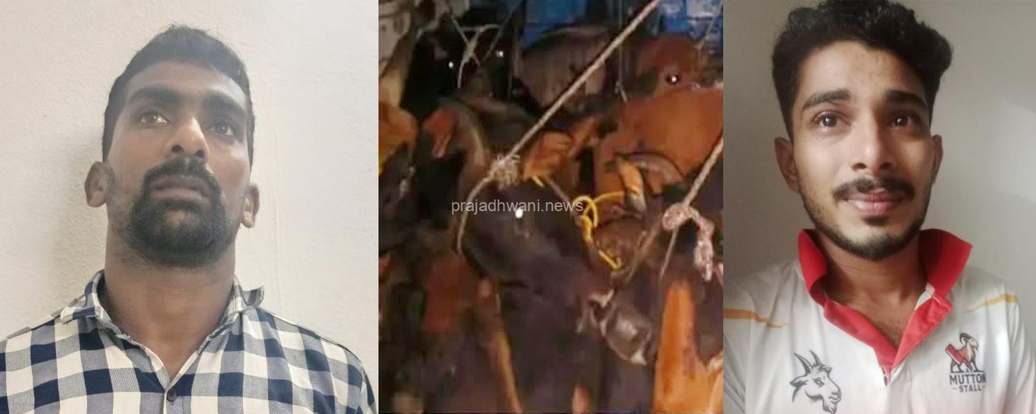 ಬಿಳಿಯೂರುಕಟ್ಟೆ ಬಳಿ ಅಕ್ರಮವಾಗಿ ಜಾನುವಾರುಗಳ ಸಾಗಾಟ ಪ್ರಕರಣ: ಇಬ್ಬರು ಆರೋಪಿಗಳ ಬಂಧನ
